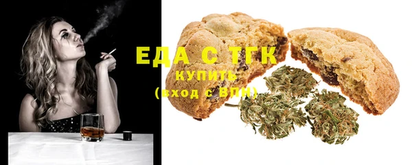 индика Пестово