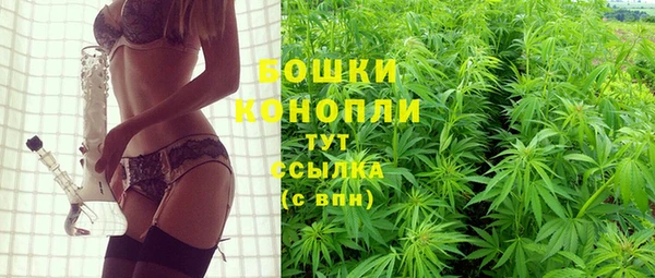 твердый Переславль-Залесский