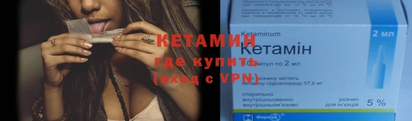 индика Пестово