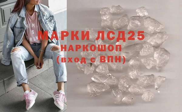 индика Пестово