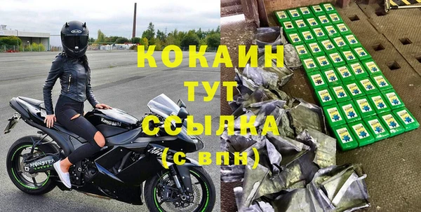 индика Пестово