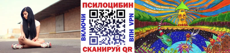 Псилоцибиновые грибы мицелий  Куртамыш 